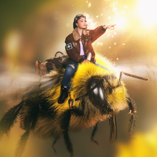Bee helpful